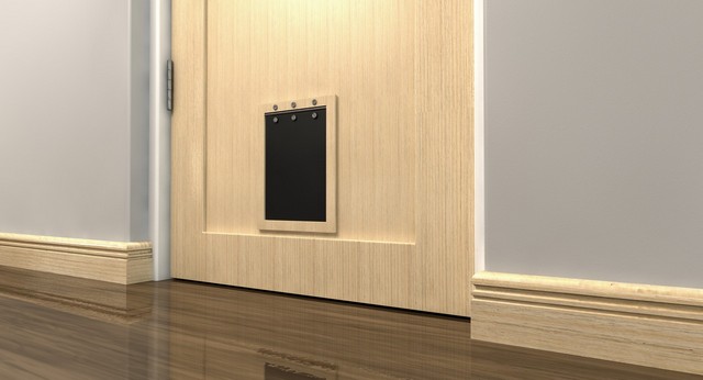 Cat Flap Installation Collier Row, RM5