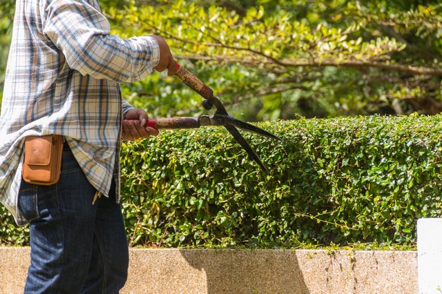 Garden Maintenance Collier Row, RM5